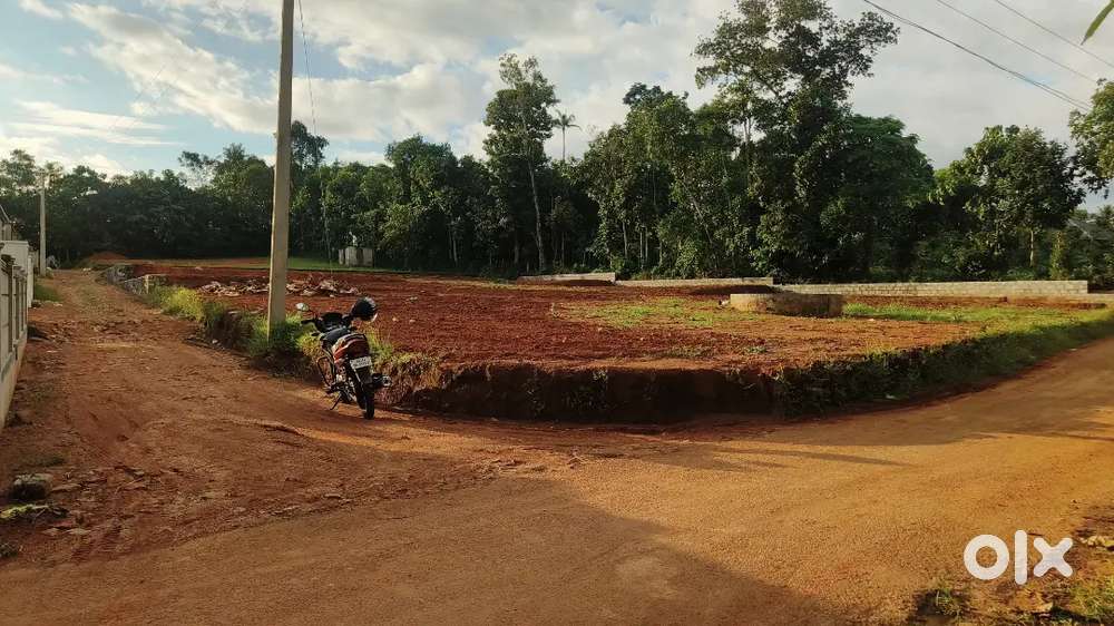 Kothamangalam mathirappalli