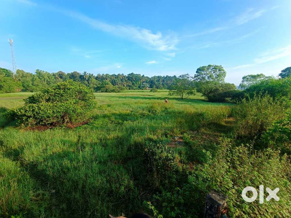 Mathukoth 14 cent land for sale 2.75