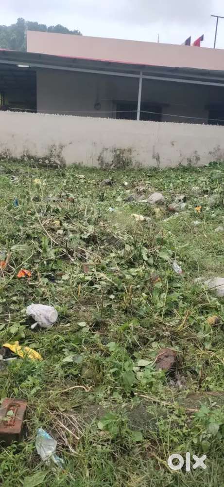 Plot for sale at Amwala Manjhal near Amwala Polytechnic