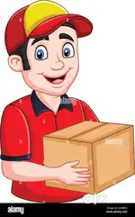 Bike delivery executive - maduravoyal - selvi