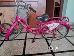 Lady bird cycle