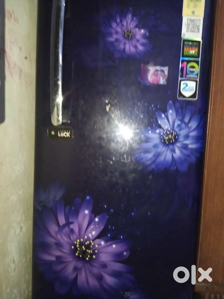 Brand new frige