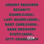 All  Security Guard Job chandigarh 11