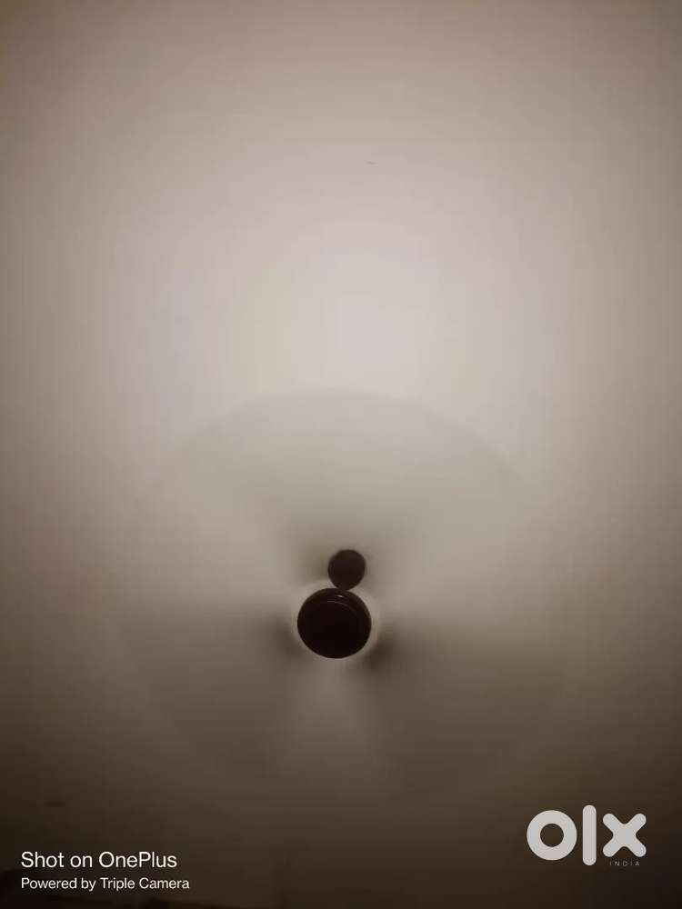 1 Room kitchen available for rent at Dhargal Pernem North Goa