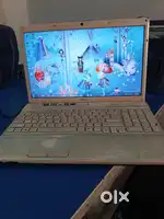 Laptop sony Bios