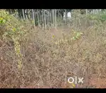 Nelamangala site for sale