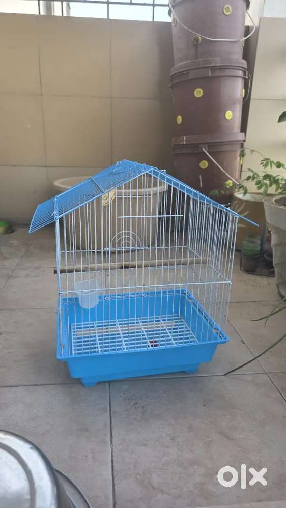 Small Bird Cage