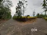 1.80 Acar (180 Cent) Land.Angamaly,Poothamkkutty.