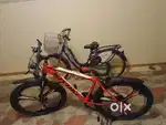 Lady Bird cycle and rapido