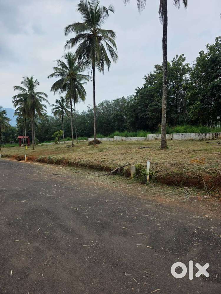 Plot for sale in Viyyakurissi, Palakkad