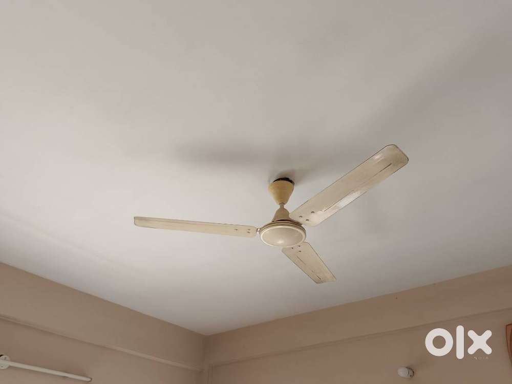 crompton ceiling fans  + 2 pedestral fans .