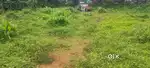 30 CENT LAND FOR SALE AT INFOPARK PHASETO