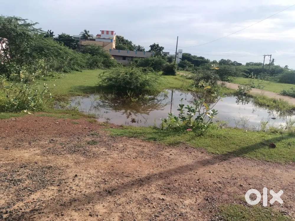 25 ankanam plot for sale