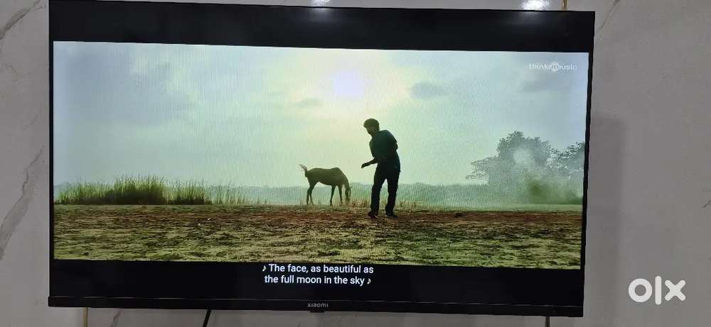 Xiomi 43 inch