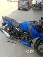 New lena hai