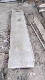Mango plywood