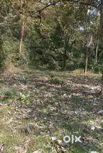 Beside mysore bypass