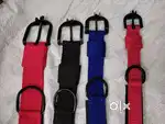 Pets items in very reasonable price