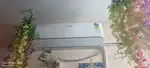 voltas 1.5 ton