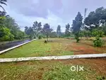 ചാലക്കുടി old NH ൽ നിന്ന് 300 മീറ്റർ ദൂരത്തിൽ ഹൗസ് പ്ലോട്ടുകൾ