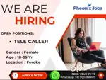Telecaller