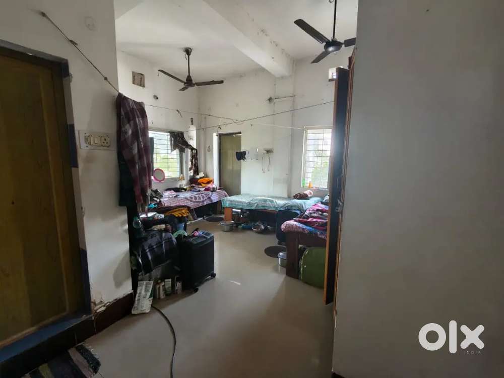 Need one girl room mate