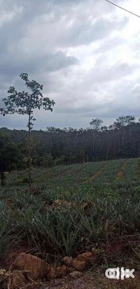 3.59 ഏക്കർ സ്ഥലവും വീടും വിൽപനക്ക്, Ranny Ezholy ipc Church നു സമീപം