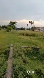 Residential land for sale in Alampur, Gonpura