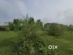 Beautiful area