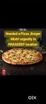 Needed a Pizza , Burger Cooking Mistri urgently for Paradeep location