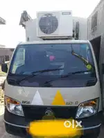 TATA ACE GOLD