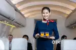 URGENT HIRING FOR AIRLINES JOBS