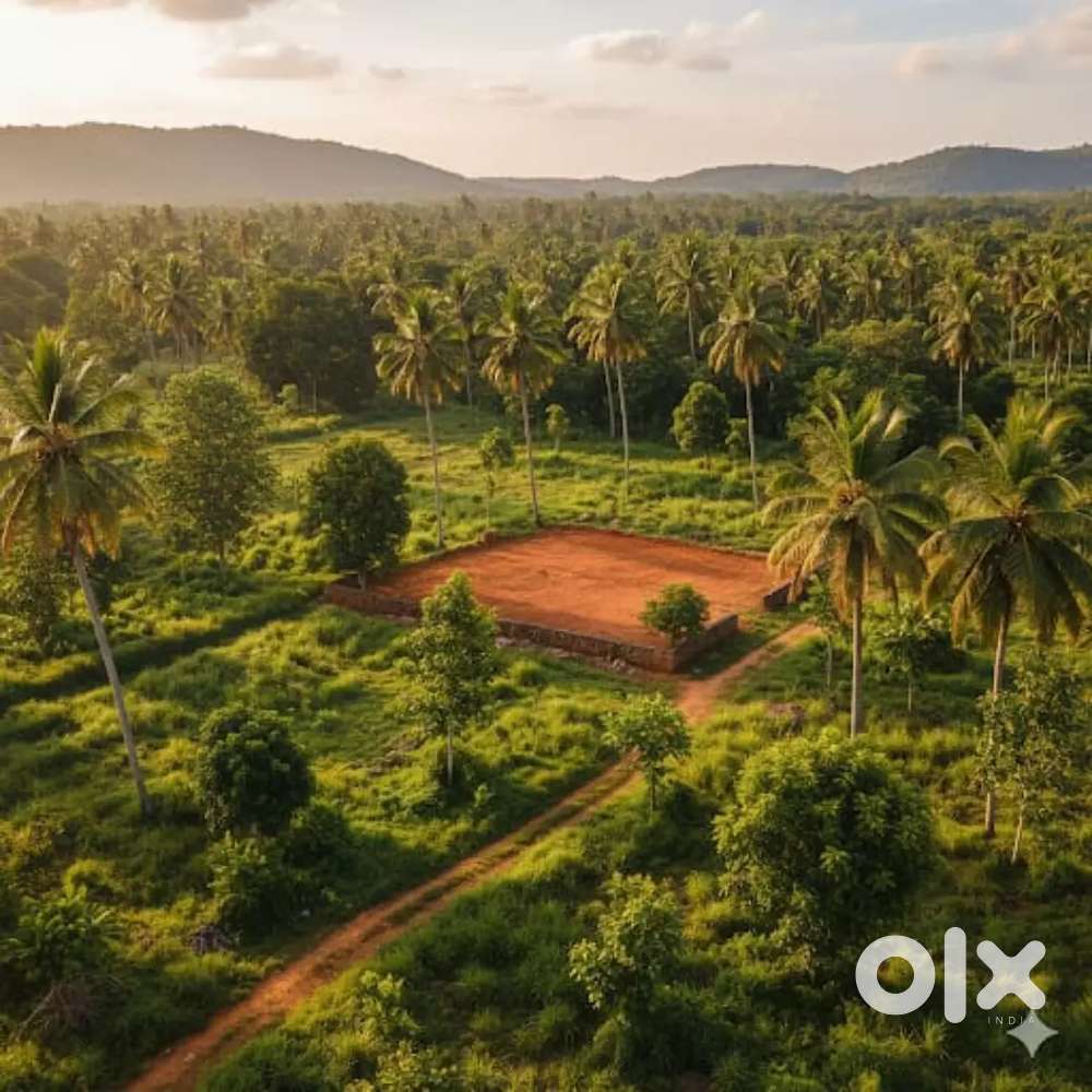 Plot for sale