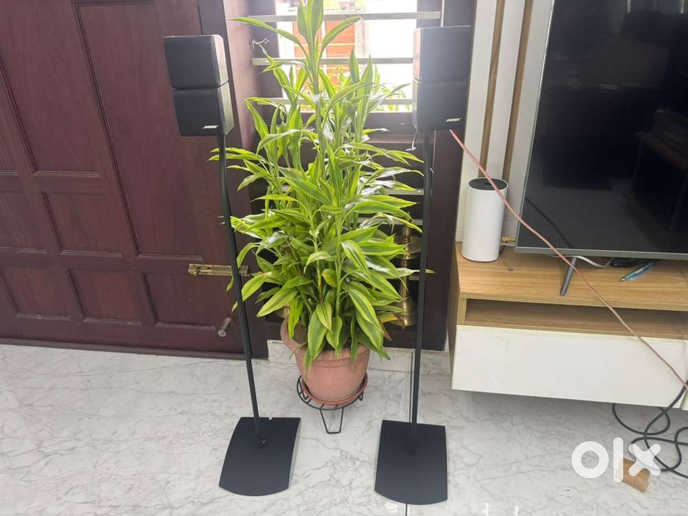 Bose wube speakers and Bose UFS-20 floor stands
