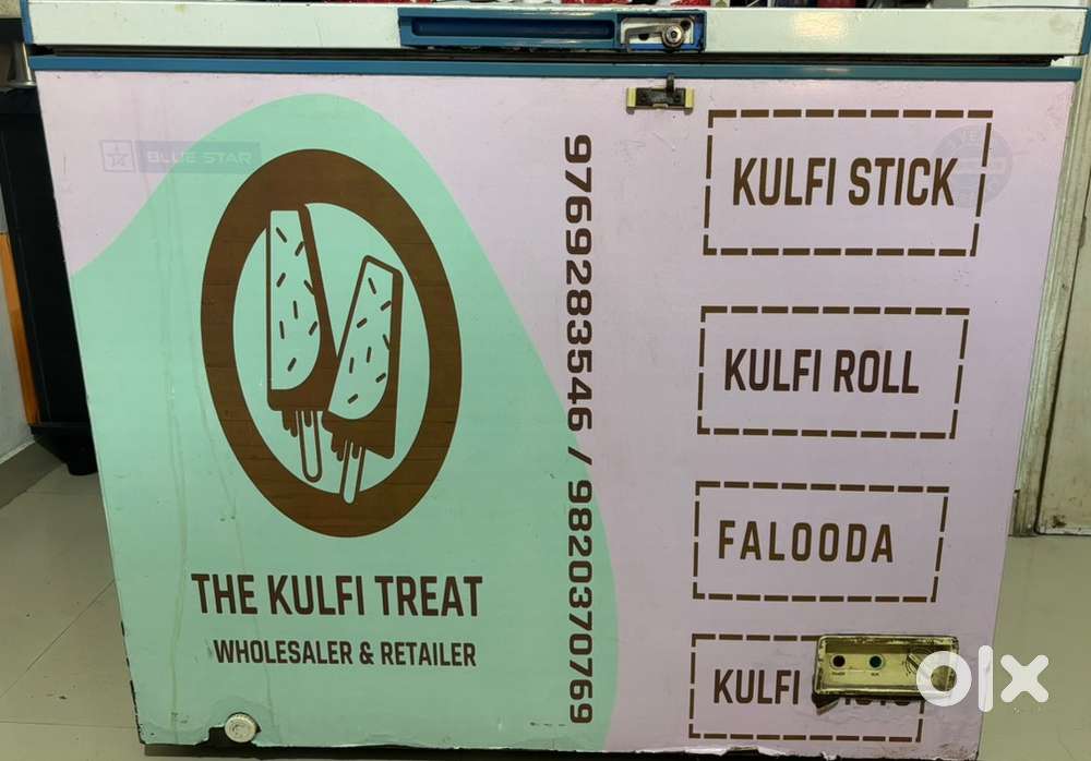 Blue Star CHFSD200D Chest Freezer – 200L, Excellent Condition