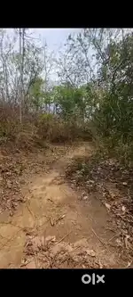 Jaka ban die kyrkieh kaba don 16½acre ka dor 30 shi sqft dng duna