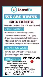 Bharat pe freelancer job part time and full time