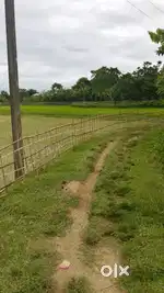 Approximately 24 khata land for sale near Tantoo natun bazar (LALA )