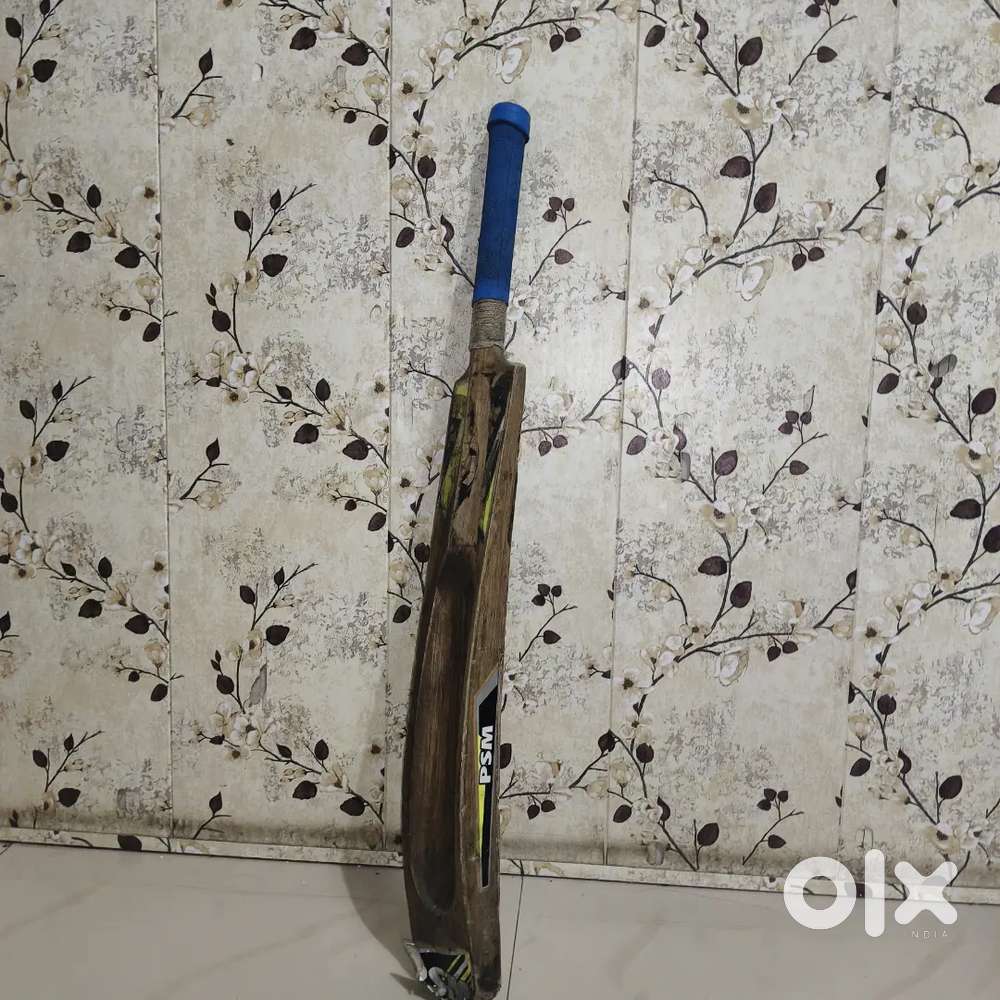 Powerful cricket bat