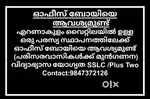 Wanted Office Boy