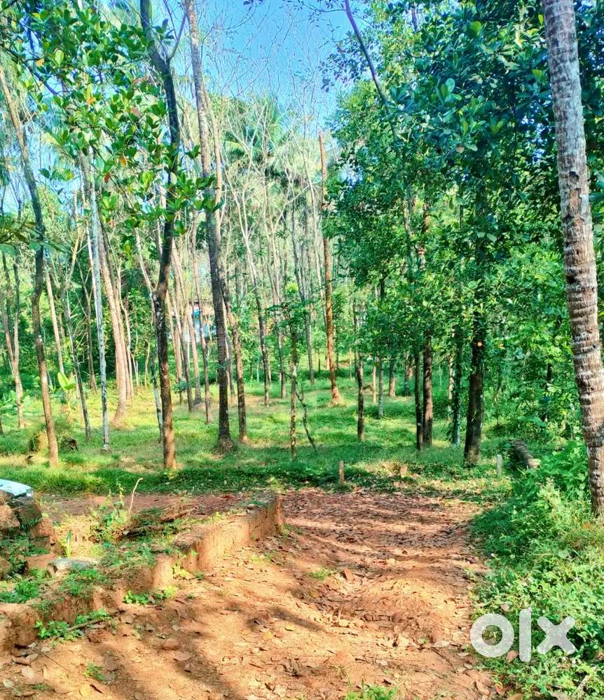 18 cent plot for sale