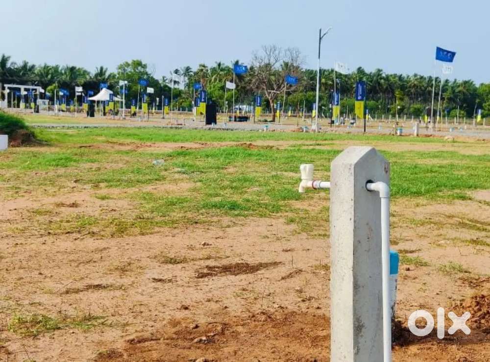 Low Budget Dtcp Plot Sale In Pollachi