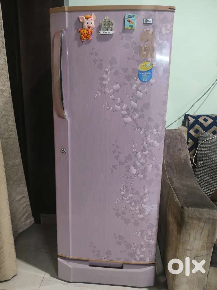 LG refrigerator with working condition