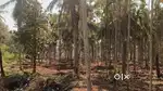 Farm Land for sale in HD Kote Main Road