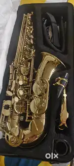 Saxophone (Music lover)