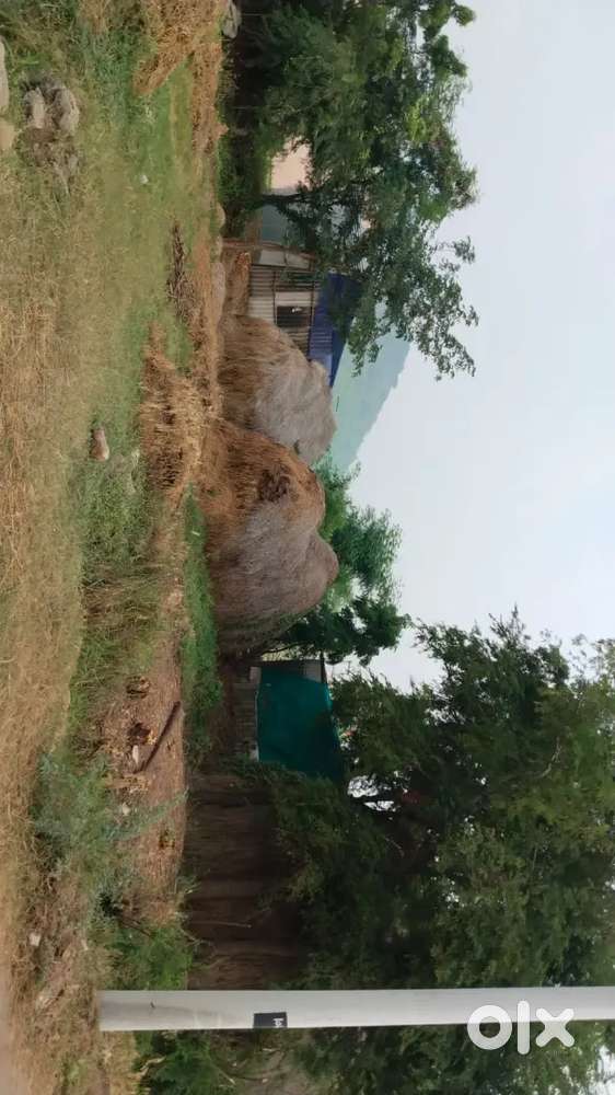 264 గజాలు .గజం 14500