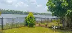50 Cent Riverfront Plot in Ernakulam |Ideal for Investment & Home stay