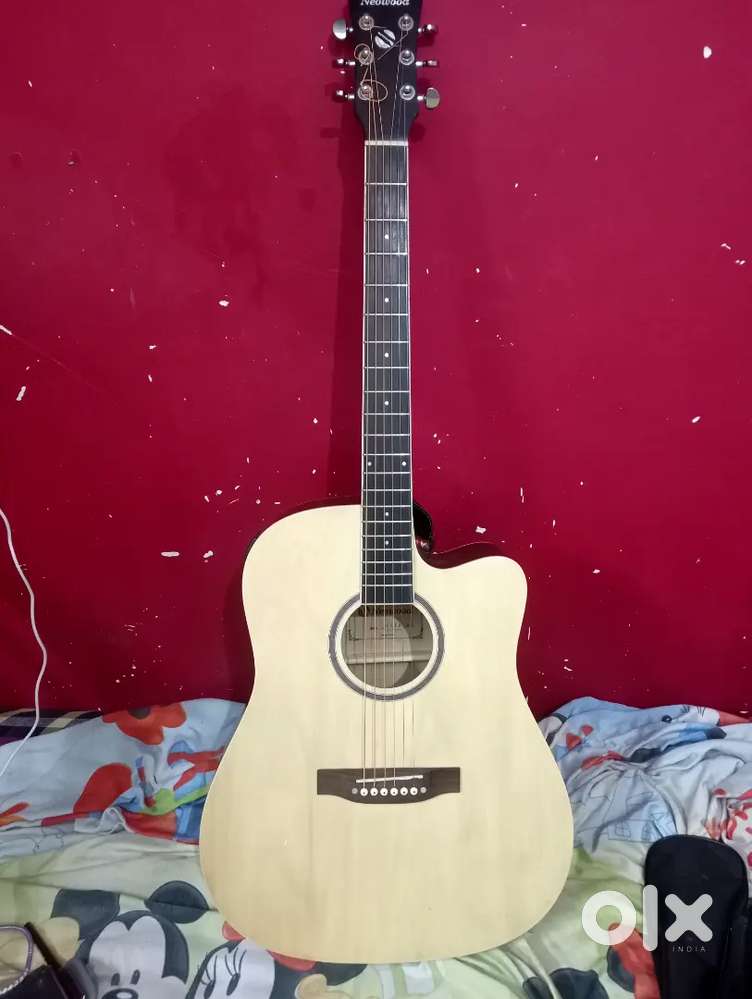 Electro acoustic guitar