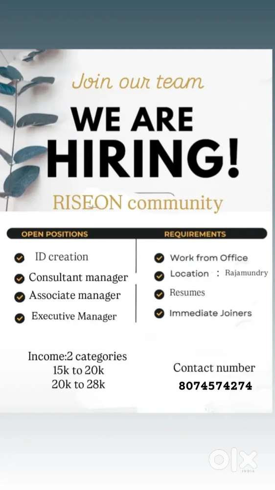 Riseon company,