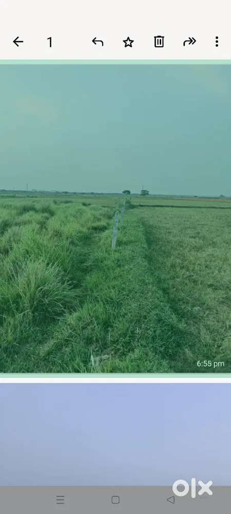 Clean Gharbari Plot of self for immediate sale